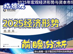 杨德龙：2025年宏观经济形势与资本市场前瞻性分析（字幕纯享版）_哔哩哔哩_bilibili