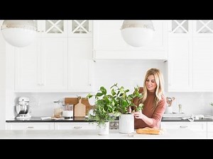 Farmhouse Pottery x Studio McGee