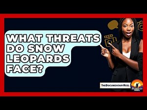 What Threats Do Snow Leopards Face? - The Documentary Reel