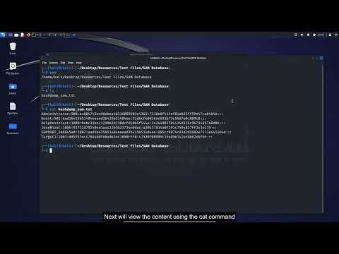 Using John the Ripper Dictionary Attacks SAM Database