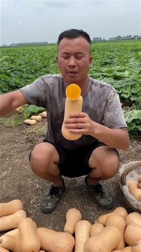 Cutting Open A Perfect Butternut Squash In The Field 🎃