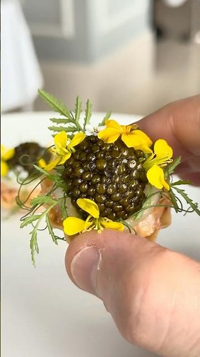 BEST LUNCH EVER! One Michelin Star Marchal in Copenhagen