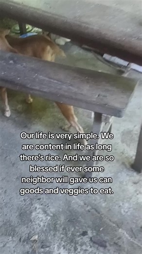 Taking care of elder parents with dementia or Alzheimer's is very challenging. Especially in our daily needs. We both are sickly, both diabetic, no income, no relative or friends to relay on. I only collecting garbage then segregate them accordingly, then walk in a very long distance areaa just to sell them on the junk shop. My father old tri-bicycle or Tribike can't no longer use because it can't be repair anymore. Transportation is too high. From our home to the nearest junk shop will cost me 