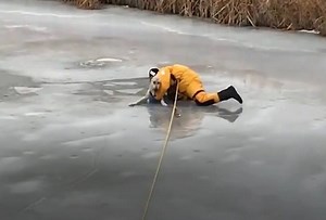 39K views · 177 reactions | Today's segment features unreal tricks and everyday heroes! | Rumble | Facebook