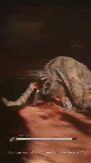 how to calm an aggressive kitty down