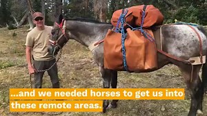 62K views · 425 reactions | If you're up enjoying Utah's high country and see a bunch of fish being dropped from an airplane, don't worry. It's just the DWR stocking the lakes up. (Utah Division of Wildlife Resources) | KSL NewsRadio | Facebook