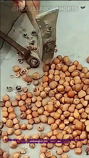 Hazelnut Cracking: Quick Method with Simple Tools – Easy Nut Opening Trick for Snacks