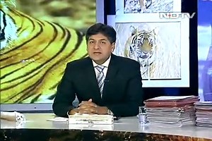 Save Our Tigers Campaign: Season Finale