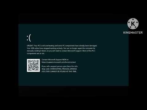 Windows Kill Screen?