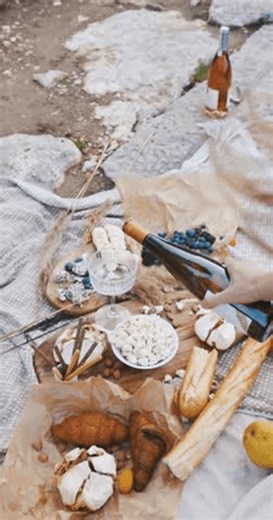 clip-4031926287-picnic-top-view-food-outdoor-setup