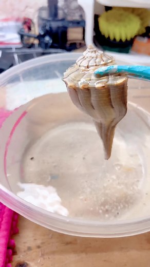 Ocean Conservation Cleanup Day