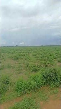 Selling this wonderful 17-hectare property, a great opportunity. 8799102 3154