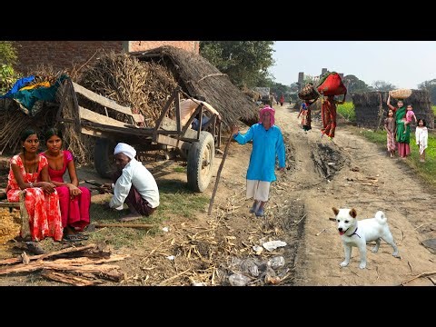 You Won't Believe THIS Is India [Everyday Life In India ] This Is How Indian People Live Daily