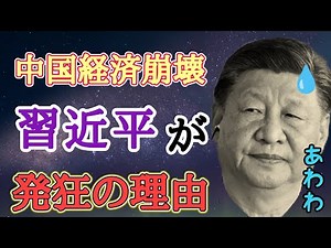 [Chinese economy collapses] Why is Xi Jinping furious after his remarks about a state of existent...