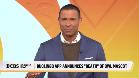 Duolingo announces "death" of Duo owl mascot