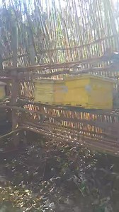 JESUS OUR STRENGTH | Mary Mutavi