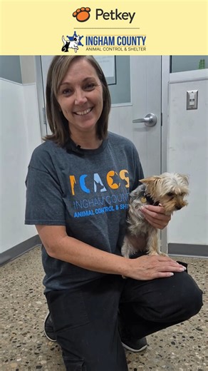 Why should I register my pet's microchip? https://petkey.org/?ref=fb #petkey #register #microchip #adopt #rescue #stray #pets #dog | Petkey Pets