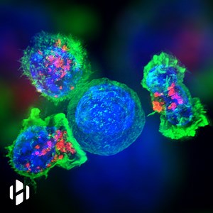 557K views · 7.5K reactions | A drug derived from Himalayan fungus shows anti-cancer properties. | Hashem Al-Ghaili | Facebook