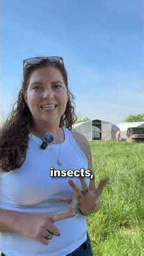 Watch What Happens When We Open This Coop Door | Ayers Valley Farm