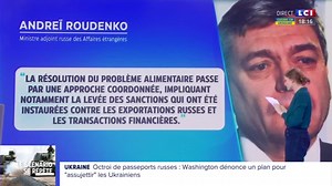 110K views · 1.8K reactions | LES INDISPENSABLES  ▶️ #Conflit - La guerre du blé, nouveau front militaire ? Analyses et réponses de Fanny Weil dans Les Indispensables  L'émission '24h Pujadas, l'info en questions' c'est du lundi au vendredi sur LCI, de 18h à 20h. | 24h Pujadas, l'info en questions | Facebook