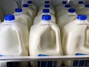 FDA milk quality testing program suspended after job cuts