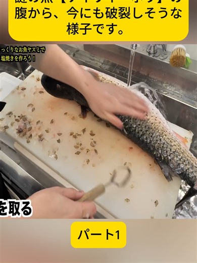 驚きのソイウイ・ボラの刺身調理法