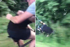Cyclist shoved head over heels into bushes by angry car passenger in shocking road rage attack