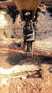 Big ole log testing the Cat Loader. 60 foot long with a 40 inch butt. Like, Follow, Share #sawmill #logging #tigercatforestry #Caterpillar #caterpillarequipment #southernyellowpine #pinetree #tree #huge #rotobec #action #logger #fast #reaction #share #like #following #loaderman559 #fyp #foryoupageofficiall #gopro | Florence Marigold | Facebook