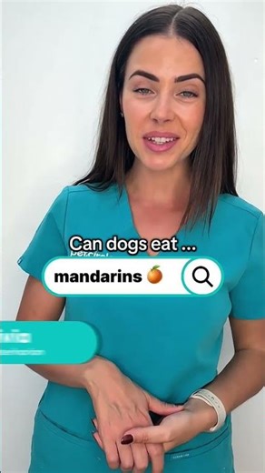 Can dogs eat mandarin?🍊| PET CIRCLE