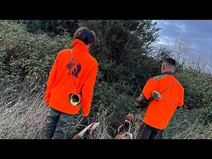Chasse aux sangliers, les beaglous ne lâchent jamais rien :) !
