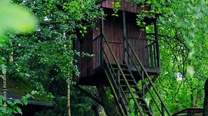 Wooden Treehouse Build for Kids in Garden
