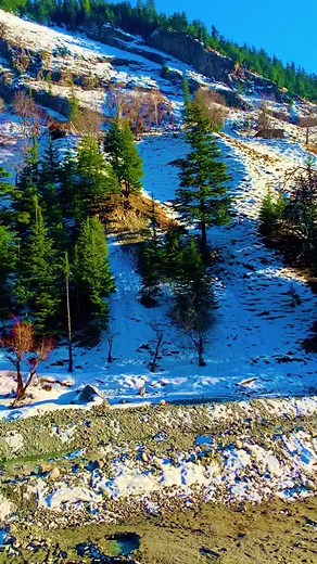 Serene Winter Landscape in the Mountains