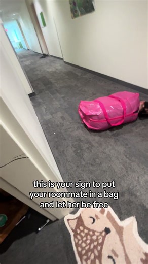 Fun College Roommate Bag Trend