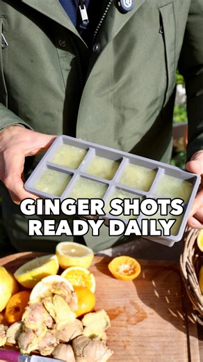Make your own Ginger Shots & preserve them for weeks! 🫚💚 If you have ginger and citrus at home, you can easily prepare homemade ginger shots that last for weeks. This method is simple, low waste, and helps preserve most of the flavour and nutrients. I start by juicing fresh lemons, oranges, or clementines. I gently press the juice using a manual citrus press, which gives the best texture and freshness. In a separate glass, I press fresh ginger to extract its juice. I then pour the citrus juice