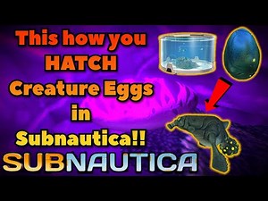 This is what you SHOULD do with Creature Eggs in Subnautica (Egg Hatching Guide)