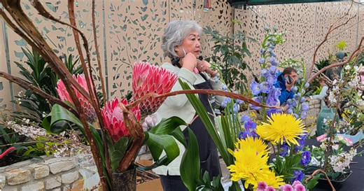 Cherry Blossom Festival returns in late March as peak bloom nears