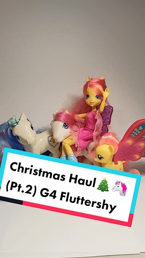 Christmas Pony Haul | G4 Fluttershy and Accessories
