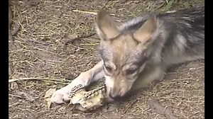 59K views · 8.2K reactions | Happiness is not having to share your...