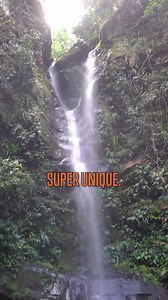 2.1K views · 53 shares | This isn’t your average coffee alternative....