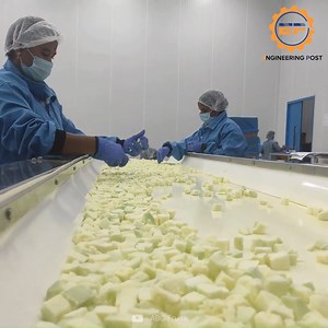 11K views · 165 reactions | How Muskmelon Is Processed Inside The Plant | Engineering Post | Facebook