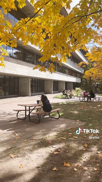 Autumn Vibes at UTSC Campus