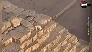 Dog climbs to the top of a pyramid - and goes viral