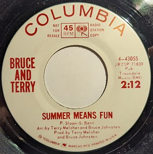 Bruce And Terry - Summer Means Fun