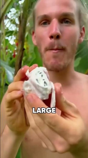 The Pink Banana That Grows Upward and Splits Itself Open