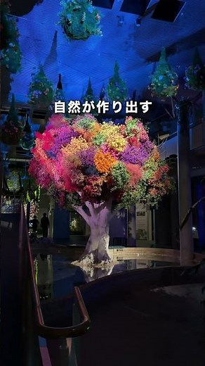 千葉に昨年できた…幻想的なスポット✨