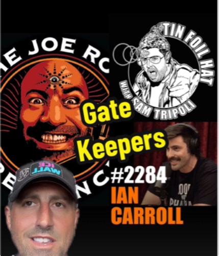 330K views · 6.9K reactions | #Gatekeeper #joerogan #tinfoilhat | Tyler Hansen | Facebook