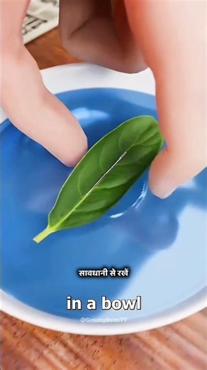 How a Needle Turns Into a Compass