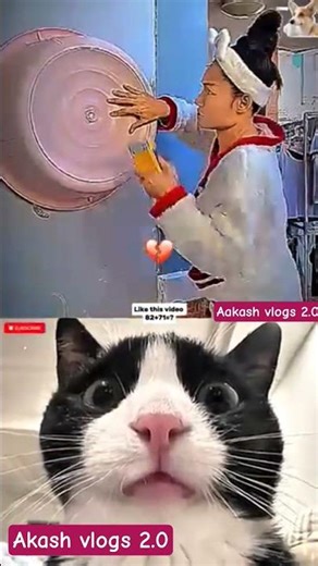 cockroach catch Aura #funny #cat #memes #viral