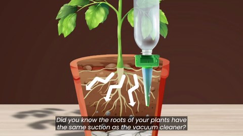 EcoDripper Plant Watering Device 5 Pc - Self Watering Spike Insert for Potted Plants - Pulls Water Automatic Outdoor & Indoor Plant Waterer - Drip Water Feeder Stake on Vacation (Pack of 5), Green