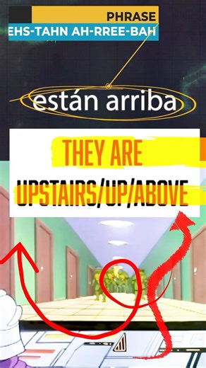 Están Arriba ⬆️🐢 | “They’re Up Above” in Spanish #learnspanish #tmnt #conversationalspanish